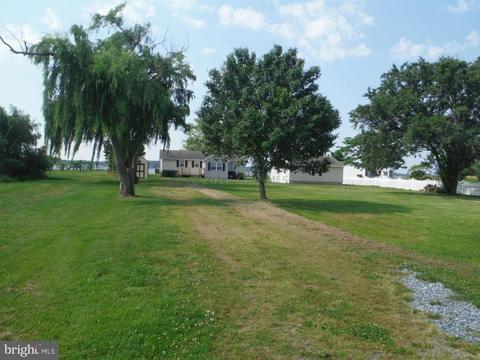 22907 Steele Dr, Tyaskin, MD 21865 photo 5