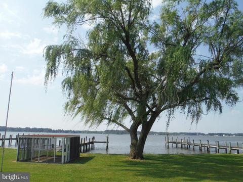 22907 Steele Dr, Tyaskin, MD 21865 photo 12