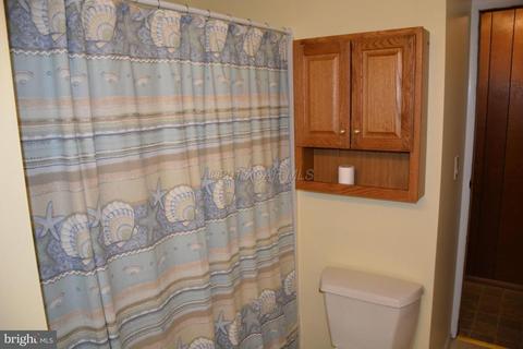 22907 Steele Dr, Tyaskin, MD 21865 photo 53