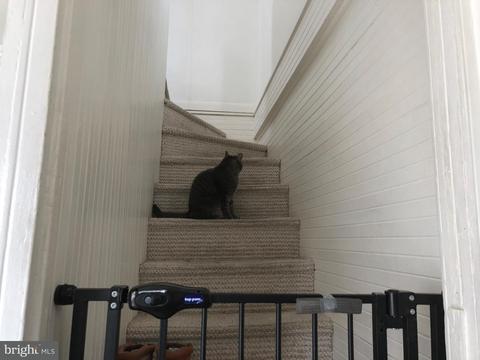 313 Taylor St, Riverside, NJ 08075 photo 21