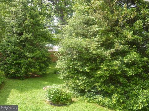 503 4th St N, Laurel, MD 20707 photo 4