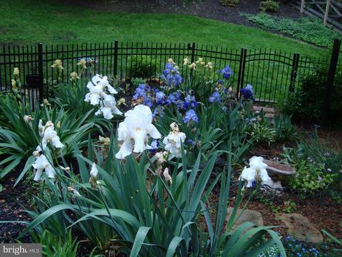 1357 Macbeth St, Mclean, VA 22102 photo 27