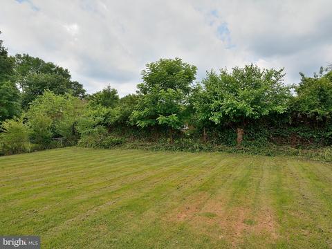 5904 Brunswick St, Springfield, VA 22150 photo 29