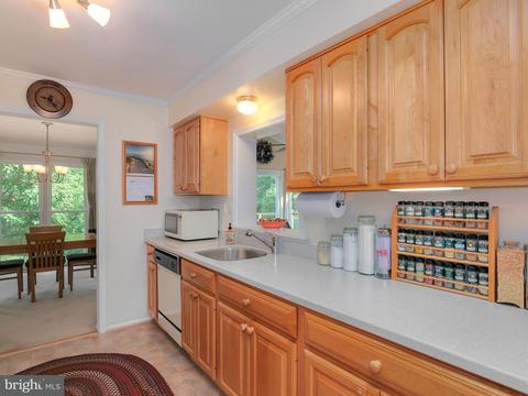 2220 Countryside Dr, Silver Spring, MD 20905 photo 11