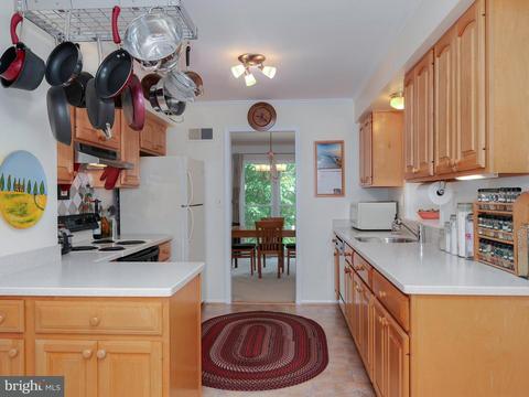 2220 Countryside Dr, Silver Spring, MD 20905 photo 10