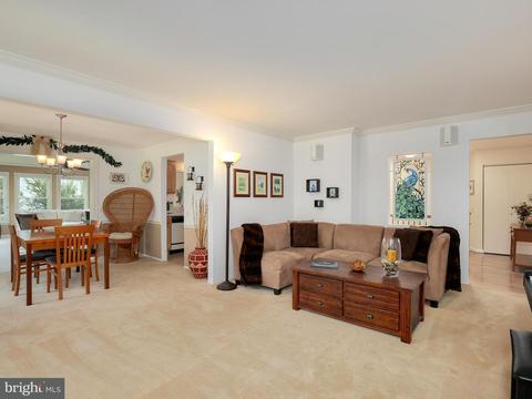 2220 Countryside Dr, Silver Spring, MD 20905 photo 14