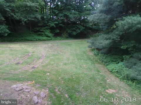 23804 Hill St, Barton, MD 21521 photo 22