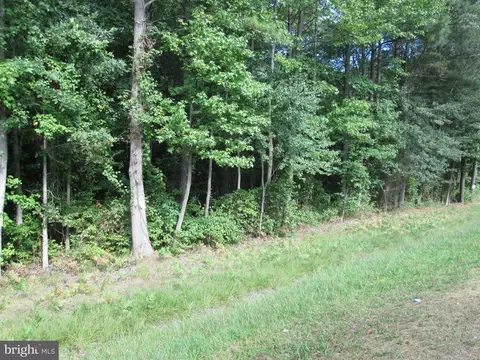 Rte 313 Road, Federalsburg, MD 21632