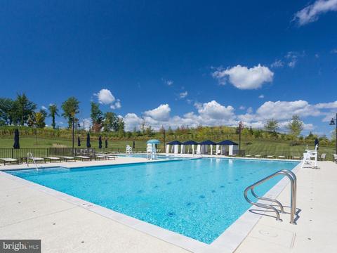 17529 Spring Cress Dr, Dumfries, VA 22026 photo 30