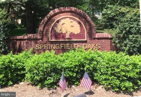 8428 Springfield Oaks Dr, Springfield, VA 22153 photo 29