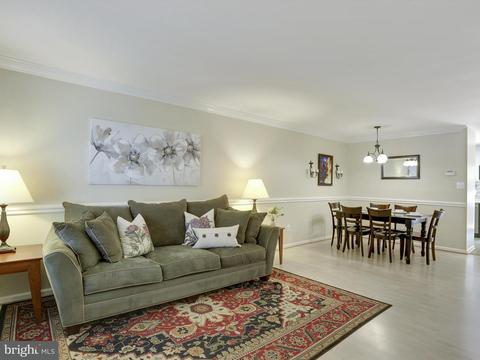 8428 Springfield Oaks Dr, Springfield, VA 22153 photo 3