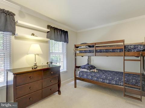 8428 Springfield Oaks Dr, Springfield, VA 22153 photo 16