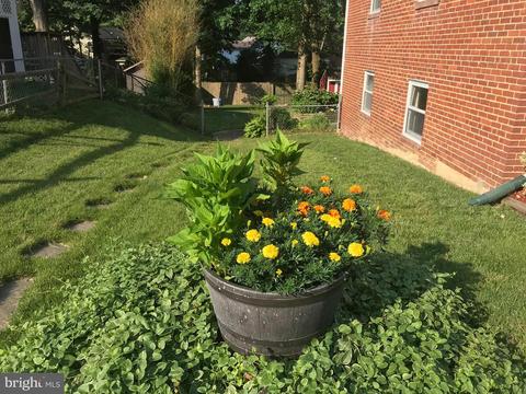 7437 Axton St, Springfield, VA 22151 photo 26