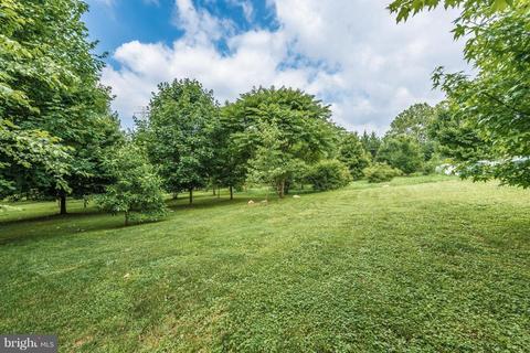 2507 Rocky Pointe Ct, Frederick, MD 21702 photo 28