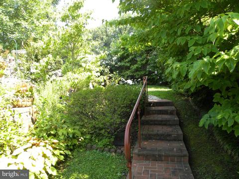 7516 Inzer St, Springfield, VA 22151 photo 30
