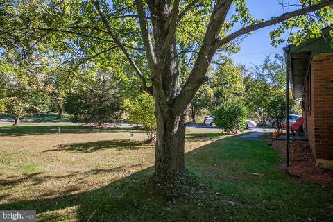 16328 Brandy, Culpeper, VA 22701 photo 14