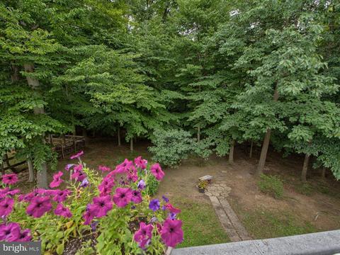 6413 Spring Forest Rd, Frederick, MD 21701 photo 29