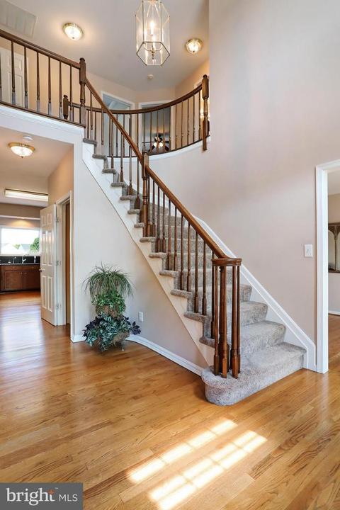 5343 Sovereign Pl, Frederick, MD 21703 photo 4