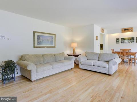 1005 Gadsden Ave, Silver Spring, MD 20905 photo 6