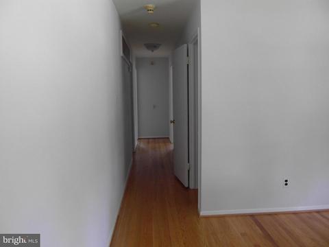7601 Gresham St, Springfield, VA 22151 photo 5