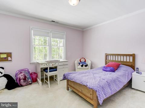 1101 Flor Ln, Mclean, VA 22102 photo 22