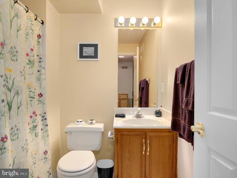 8852 Briarcliff Ln, Frederick, MD 21701 photo 24
