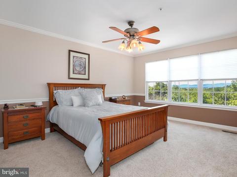 8852 Briarcliff Ln, Frederick, MD 21701 photo 15