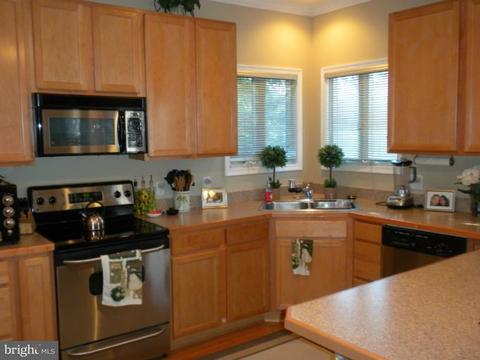 3550 Loch Haven Dr, Edgewater, MD 21037 photo 8