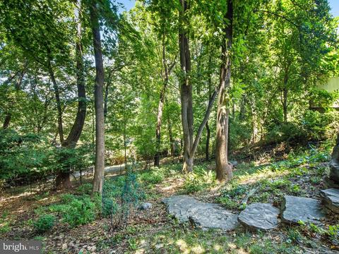 113 Ritchie Ave, Silver Spring, MD 20910 photo 29