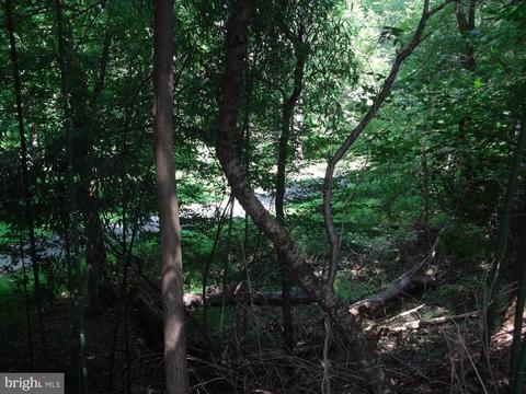 3713 Munsey St, Silver Spring, MD 20906 photo 29