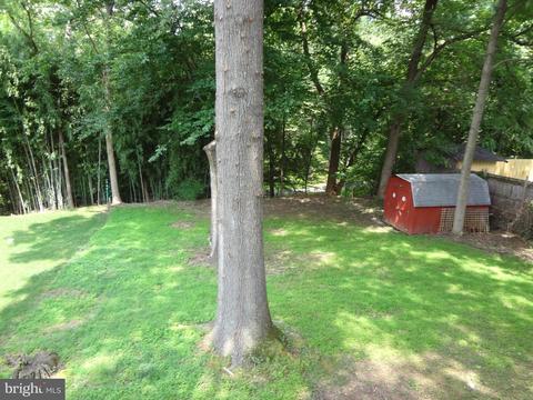 3713 Munsey St, Silver Spring, MD 20906 photo 24