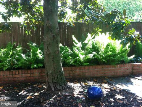 503 Schley Ave, Frederick, MD 21702 photo 14