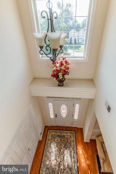 5409 Heming Ave, Springfield, VA 22151 photo 21