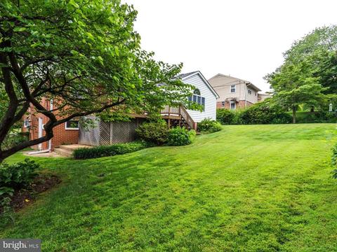 5307 Nutting Dr, Springfield, VA 22151 photo 4