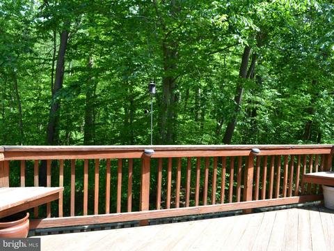 7726 Shootingstar Dr, Springfield, VA 22152 photo 20
