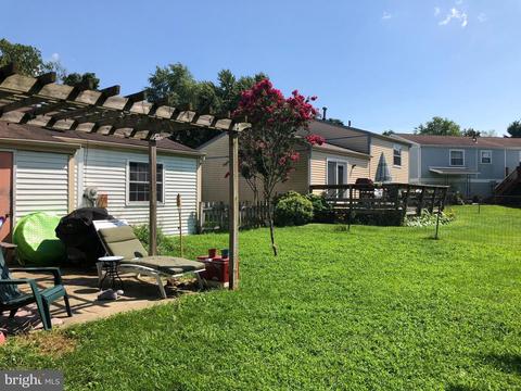 525 Logan St, Frederick, MD 21701 photo 4