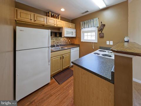 24962 Betts Ln, Georgetown, DE 19947 photo 4