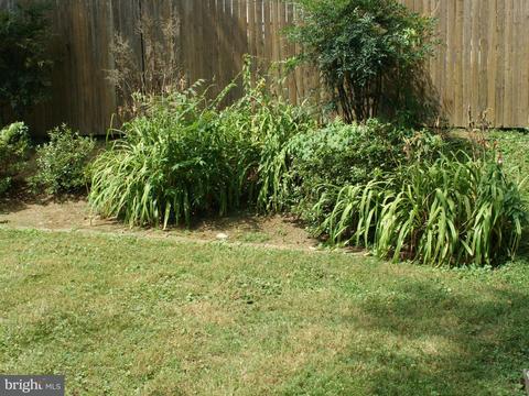 12600 Goodhill Rd, Silver Spring, MD 20906 photo 24