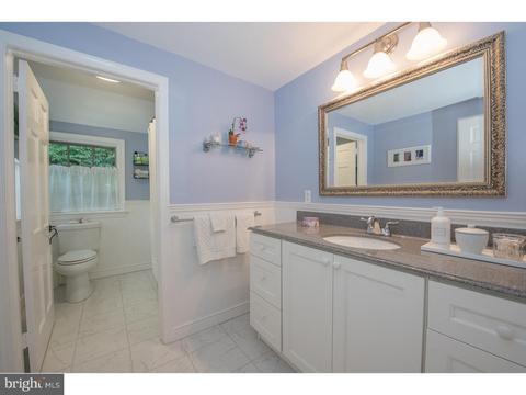 389 Church Rd, Devon, PA 19333 photo 20