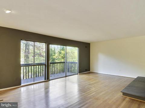 4 Delford Ave, Silver Spring, MD 20904 photo 4