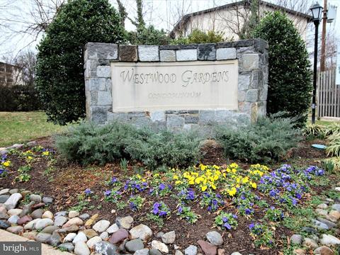 10860 Bucknell Dr #2, Silver Spring, MD 20902 photo 23