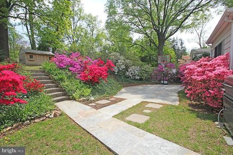 508 Deerfield Ave, Silver Spring, MD 20910 photo 22