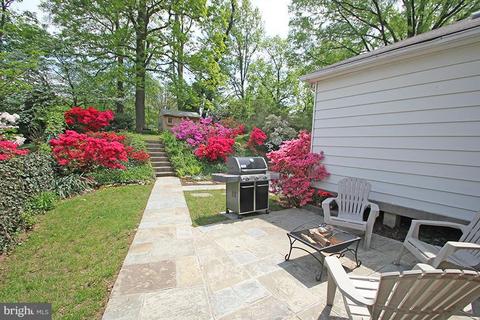 508 Deerfield Ave, Silver Spring, MD 20910 photo 23