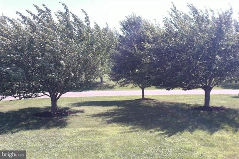 21 Craig Ct, Conowingo, MD 21918 photo 7