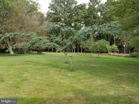 9710 Tilghman Island Rd, Mcdaniel, MD 21647 photo 4