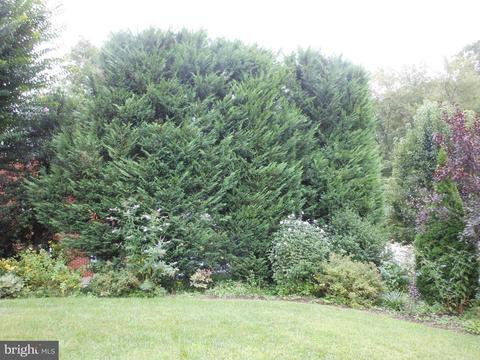 5711 Dreyfuss St, Springfield, VA 22151 photo 25