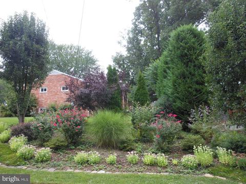 5711 Dreyfuss St, Springfield, VA 22151 photo 29