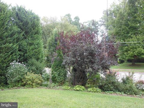 5711 Dreyfuss St, Springfield, VA 22151 photo 26