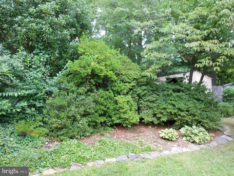 5711 Dreyfuss St, Springfield, VA 22151 photo 22