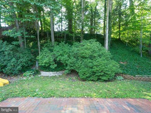 6904 Gillings Rd, Springfield, VA 22152 photo 25